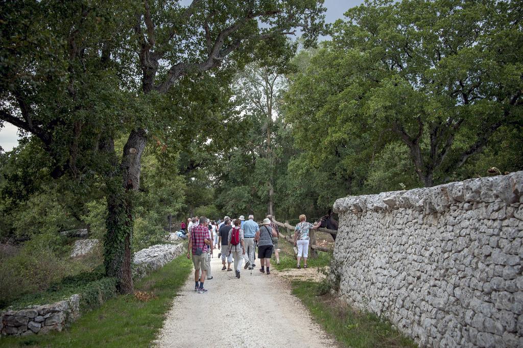 Masseria Ferri Ostuni Kültér fotó